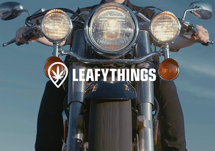 Leafythings Van Travels: Port Dover Motorcycle Rally